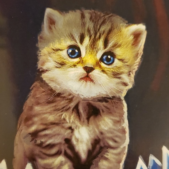 Too Fast Meows 11" x 17" Kitten Riding in Shark Mouth Nautical Tattoo Art Print - Picture 6 of 8